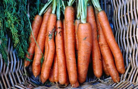 Carotenemia: Definition, Symptoms, Causes, and Treatment.